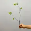 Hojas de Arce Rojas Artificiales, Ramas de Arce Verdes de Otoño, Adornos de Decoración para Sala de Estar de Árbol de Arce, Ramas Secas, Arreglos Florales para Jarrón, Plantas Falsas