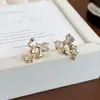 Brincos de Zircônia Estrela com Laço Estilo Francês para Mulheres, Design de Nicho, Brincos de Luxo, Modernos e Elegantes, Populares nas Redes Sociais