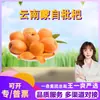 Gotas de Nisípero de Mengzi, Yunnan, Seleccionadas Cuidadosamente, Dropshipping, 1/2/3/5 Jin, Nisípero Changhong, Fruta Pequeña Mediana Grande, Fruta Fresca