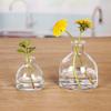 Botella de aromaterapia transparente de bayoneta de 150 ml, botella de vidrio de fondo grueso de barriga grande con tapa, difusor de varillas de fragancia para dormitorio y baño