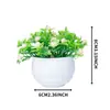 Venta al por mayor del fabricante Mini Suculentas de Simulación Creativas en Maceta Plantas de Oficina Decoración del Hogar Adornos Pequeños de Plantas Verdes para Escritorio