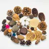 Envío Gratis 30 Piñas Flores Secas Decorativas Hecho a Mano Paquete de Materiales Creativos DIY Decoración del Hogar Ramas Secas Piñas Escama de Pez