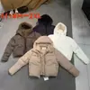 Jaqueta Curta de Algodão com Capuz para Inverno Feminina Espessa Quente Gola Alta Petite Casaco de Algodão Pão Quatro Cores em Estoque