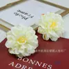 Paquete de Materiales para Hacer Corsages de Crisantemo Artificial al por Mayor Amaryllis Artificial Sombrero de Graduación Sombrero para el Sol Decoración Hecha a Mano Caja de Flores