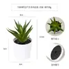 Más de 100 Tipos de Combinaciones de Plantas Suculentas Mini de Plástico Simuladas en Maceta, Mini Bonsáis Suculentos Más Vendidos Transfronterizos, Decoración para el Hogar, Adornos Creativos