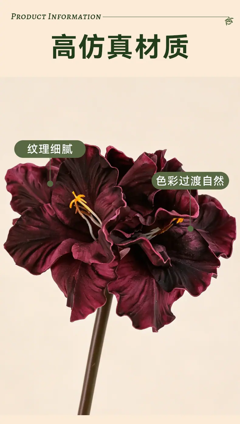 君子兰-米黄_05.jpg