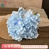 Flor de Simulación Transfronteriza 5 Cabezas Hortensia Boda Francesa Hortensia Grande Bola de Flores Decorativa Tienda Ventana Apertura Festival de Bodas Flor Artificial