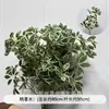 Verdor para Bodas Plantas Artificiales Arreglo Floral Gypsophila Eucalipto Estilo Natural Flores Artificiales Flores de Seda Decoración de Boda Materiales Florales