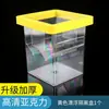 Incubadora para acuario, caja de aislamiento flotante de acrílico para alevines de peces pequeños, caja de incubación flotante suspendida para peces hembra, caja de incubación flotante