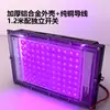 Lâmpada LED Roxo para Salão de Cabeleireiro em Casa para Cozimento de Cabelo Lâmpada para Cuidados com o Cabelo Óleo de Cozimento Capilar Lâmpada para Cuidados com o Cabelo Lâmpada para Cuidados com o Cabelo