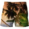 Pantalones casuales estilo hawaiano impresión digital creativa 3D ocio resort pantalones de playa 2024 comercio exterior Amazon para hombre