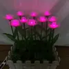 Lámpara LED de Flor Emisora de Luz para Exteriores 2024, Lámpara de Suelo Solar para Patio y Jardín, Flor Artificial Impermeable