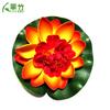 Flores de Loto Artificiales Transfronterizas, Hojas de Loto, Nenúfares para Ofrendas a Buda, Accesorios para Fotografía, Accesorios de Decoración para Acuarios y Estanques, Flores Artificiales