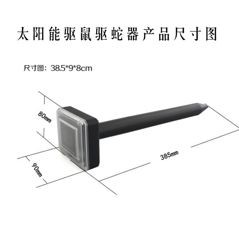 11325114544_2108233634