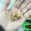 6-20mm Contas Redondas de Madeira de Pessegueiro Contas Soltas Contas de Buda Pulseira DIY Acessórios de Joias Materiais Atacado em Estoque