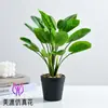 Nuevos fabricantes de productos suministran directamente pequeños bonsáis flores artificiales creativos pequeños adornos de interior plantas verdes artificiales Amazon plantas artificiales en maceta