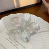 Celebridad de Internet Estilo Ins Clip Transparente de Flores de Colores Material Acrílico Pinza para el Cabello de Niña Clip Dulce para el Peinado Venta al Por Mayor