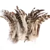 80 Tipos de Penas Naturais de Faisão, Penas Reais, Decorações Nativas Americanas, Acessórios DIY, Acessórios de Cabelo, Peças para Brinquedo de Vara para Gato