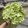 Fabricante de Flores Artificiales para Bodas Verdes Hortensia Verde Rosa Rocío de Golondrina Loto Bola de Cebolla Decoración Suave para Bodas Flor Artificial al por Mayor