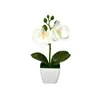 Mini 3 orquídeas artificiales Phalaenopsis en macetas aterciopeladas, suministro de exportación directa, flores artificiales de tacto realista, bonsái, accesorios para fotografía