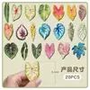 20 Piezas Hojas Plantadas con Calor Imanes Suaves Magnéticos para Refrigerador Caladio Hojas de Planta Tropical Pegatinas Magnéticas Decorativas Impermeables de Succión