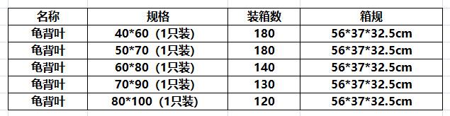 龟背叶规可靠.png