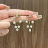 @ Oferta especial Corea del Sur moda de lujo ligero dos usos borla de perla moda todo a juego temperamento pendientes de alto diseño