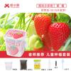 Mini maceta pequeña para plantar para niños, estudiantes de jardín de infantes y primaria, frutas, verduras, flores, semillas de pasto, caja de observación del crecimiento de plantas