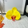 Flor Artificial Grande Phalaenopsis Película de Impresión 3D Cabeza de Flor Furoshiki Recuerdo Caja de Regalo DIY Decoración Flor para Zapato Tocado