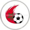 Diapositivas para Zapatos de Equipo de Fútbol del Mundial con Luz LED Intermitente Accesorios para Zapatos Impresos en UV