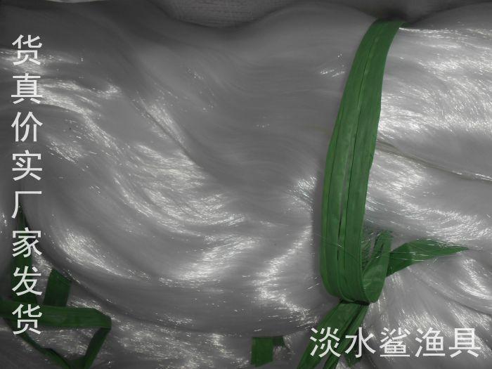 照片 045