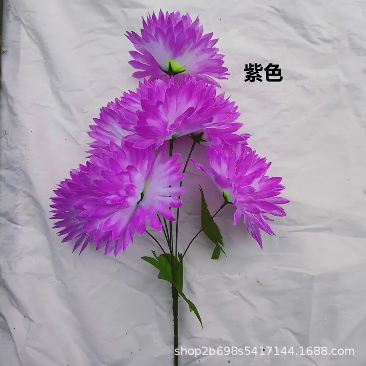 IMG20220427165528_副本.jpg