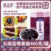 Academia de Ciencias Agrícolas de Yunnan Mermelada de Flores de Yunnan Osmanthus Arándano para Untar en el Desayuno Pan Ingredientes Polvo para Hielo Puesto Comercial