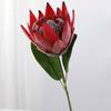 Fornecimento do Fabricante de Buquês de Flor Imperador Artificial em Cores de Primavera para Decoração de Interiores, Arranjo de Cena de Casamento e Adereços para Fotografia