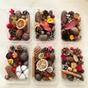 Envío Gratis 30 Piñas Flores Secas Decorativas Hecho a Mano Paquete de Materiales Creativos DIY Decoración del Hogar Ramas Secas Piñas Escama de Pez
