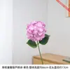 Hortensia pequeña de un solo tallo y doble pétalo con textura realista de doble pétalo, visualmente realista, crea una decoración llamativa y atractiva para un jarrón en casa