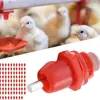 Amazon Transfronterizo Explosivo Pezón de Pollo Bebedero Boquilla de Tres Vías Dispositivo Automático de Agua Potable Pezón de Bebida para Pollitos