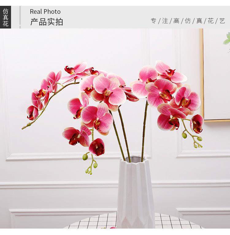 3d6头小兰花_06.jpg