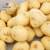 Pelador de patatas rotatorio centrífugo de alta calidad pelador de patatas profesional rápido pelador de patatas caballo Campana