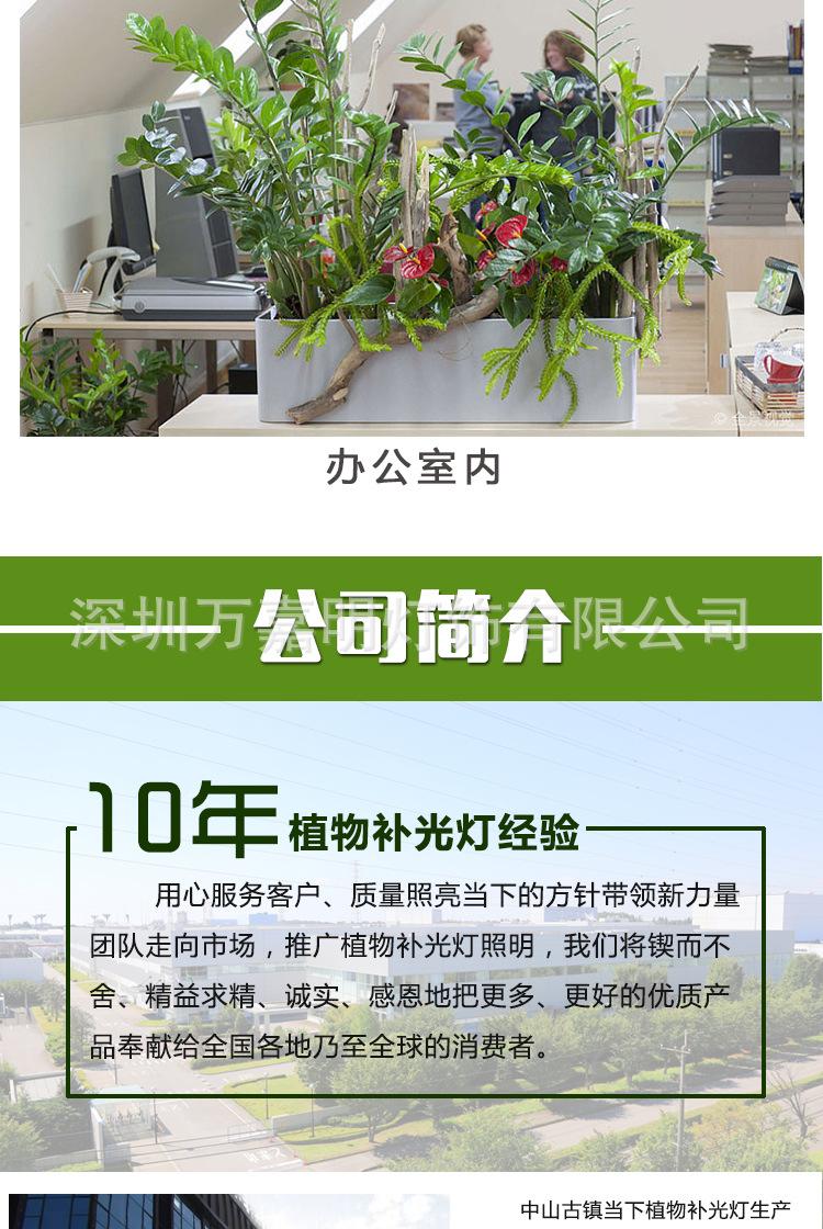 阿里详情页_11.jpg