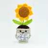 Adornos de Tarjetas Inspiradoras Emocionales de Lana Tejidos a Mano Suculentos de Energía Positiva Maceta de Venta Caliente Transfronteriza Adornos de Cactus