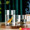 Vaso de Vidro Simples Pothos Garrafa Ecológica Hidropônica Vaso Cilíndrico Reto Micro Paisagem Frasco de Vidro Dosador para Vela de Incenso