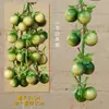 Espetos Decorativos de Frutas e Legumes Pendurados, Espetos de Pimenta Falsos, Milho Decorativo para Ornamentos de Fazenda, Restaurante, Pátio, Pingentes de Colheita