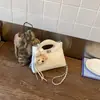 Bolsos de Moda para Mujer 2026 Primavera Nuevos Bolsos de Mano de Moda Nicho Bolso Cubo Diario Bolso de Hombro Estilo Simple