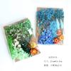 Flor seca al por mayor flor inmortal diy flor flotante vela de aromaterapia marco de fotos abanico redondo jardín de infancia hecho a mano paquete de material en relieve