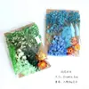 Kit de Materiales para Repujado A5 Flores Secas Flores Conservadas Marco de Fotos Flores Frescas Flores Prensadas Velas Aromáticas DIY
