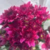 Crisântemos Pequenos, Margaridas Pequenas, Flores Frescas, Baunilha Férias Romanas, Flores Salmão Frescas, Entrega Direta para Uso Residencial e Comercial, Conjunto de Arranjo de Flores