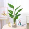 Planta de Ave del Paraíso Hidropónica en Maceta para Escritorio, Estilo Nórdico, Planta de Interior Perenne, Hojas Grandes, Cultivada en Agua, Tolera la Sombra, para Sala de Estar