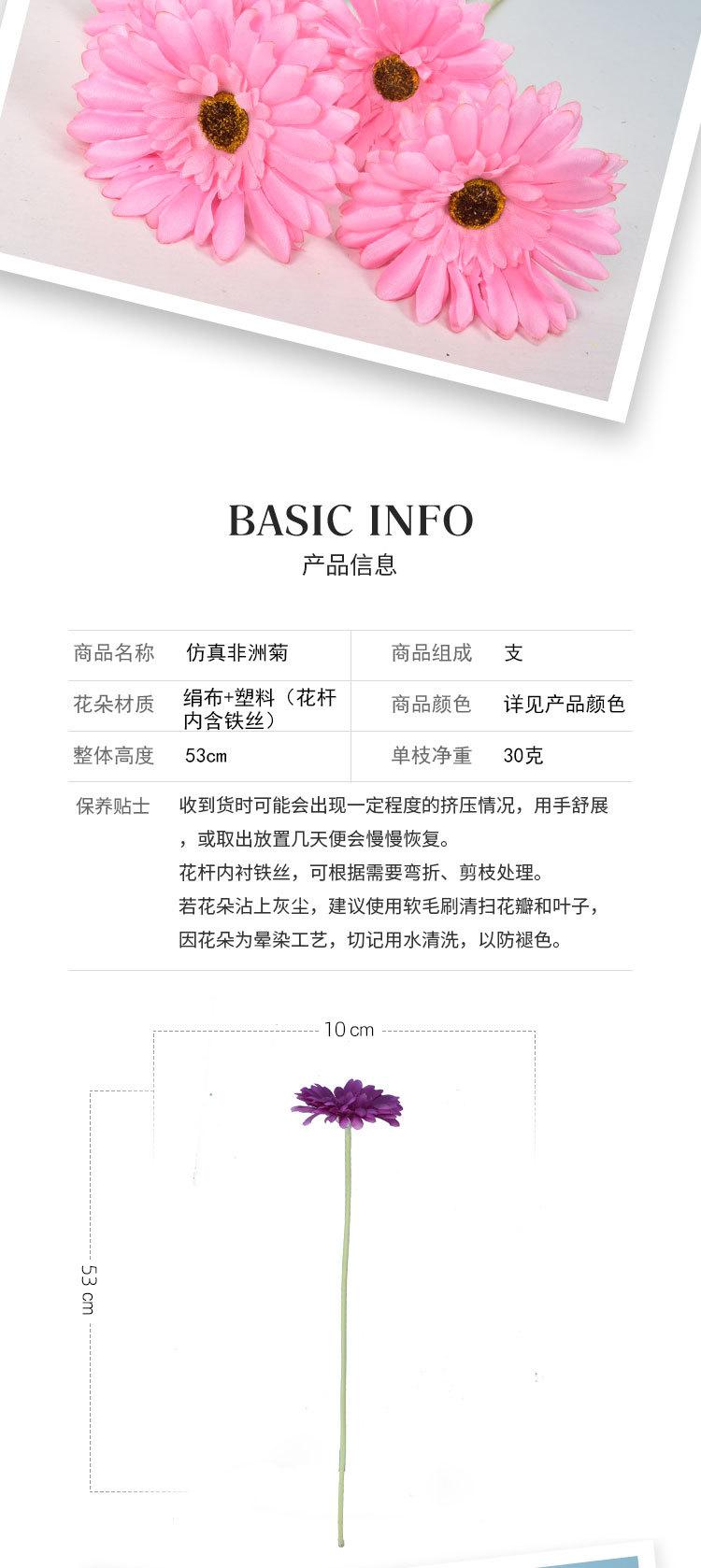 芮贝-仿真非洲菊_02.jpg