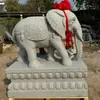 Escultura em Pedra Mármore Branco Par Companhia Villa Guardião de Porta Besta Divina Pedra Azul Elefante Absorvente de Água Novo Estilo Chinês